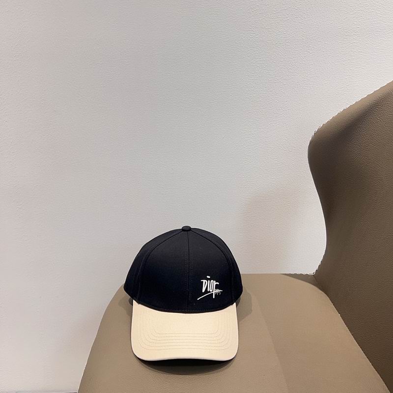 Dior cap (76)