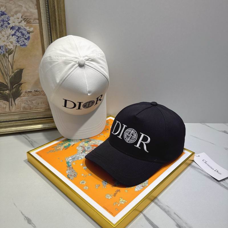 Dior cap (78)