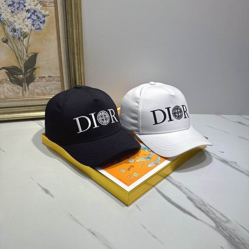 Dior cap (80)