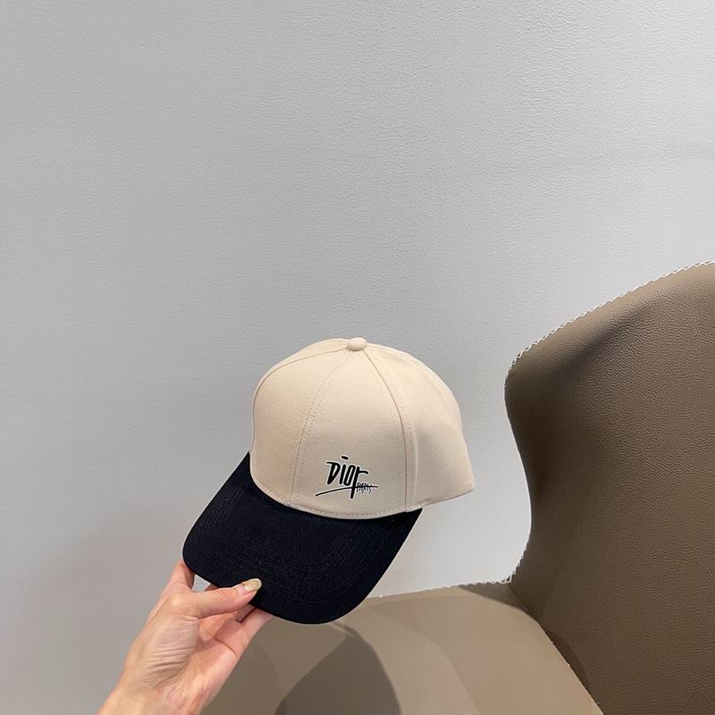 Dior cap (80)