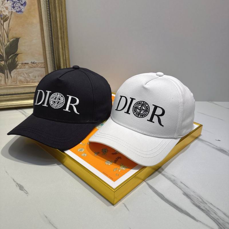 Dior cap (81)