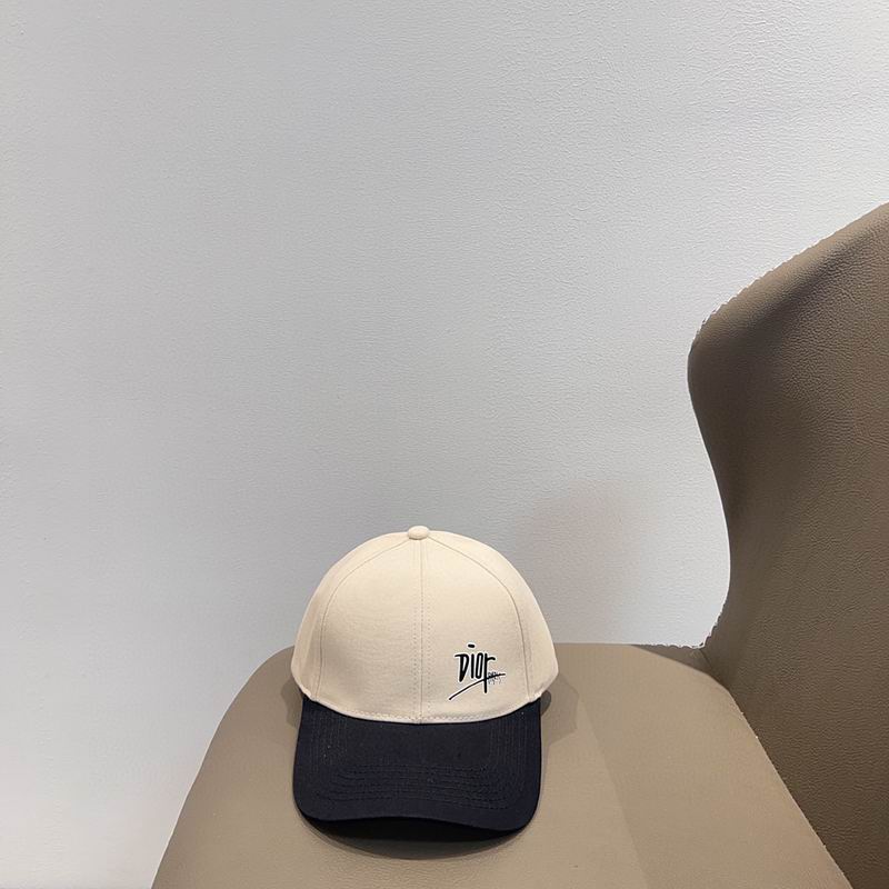 Dior cap (85)