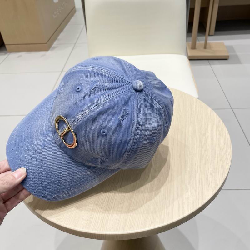 Dior cap (95)