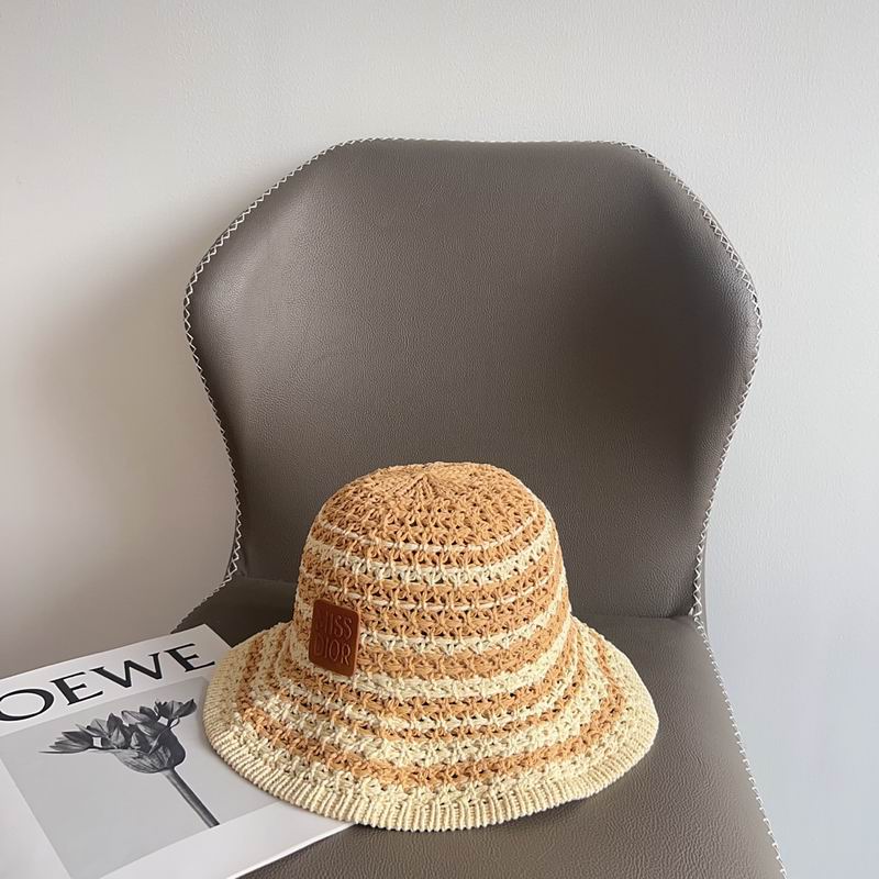 Dior hat (248)