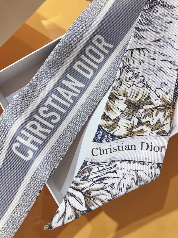 Dior silk ribbon 6X100cm E79 (12)