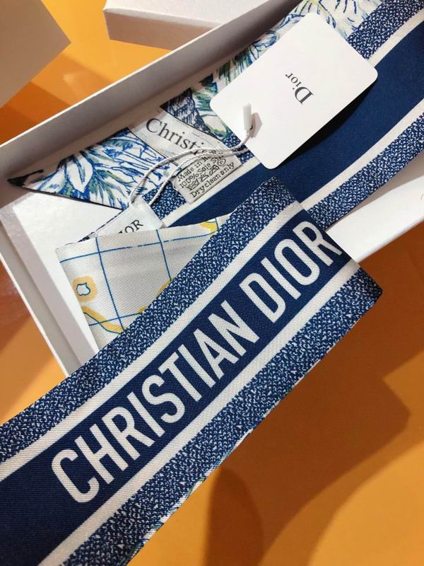 Dior silk ribbon 6X100cm E79 (4)