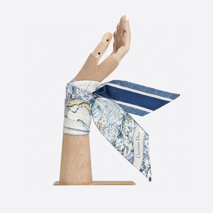 Dior silk ribbon 6X100cm E79 (8)