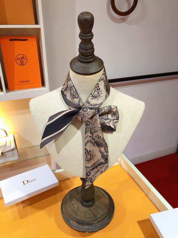 Dior silk ribbon 6X105cm E172 (10)