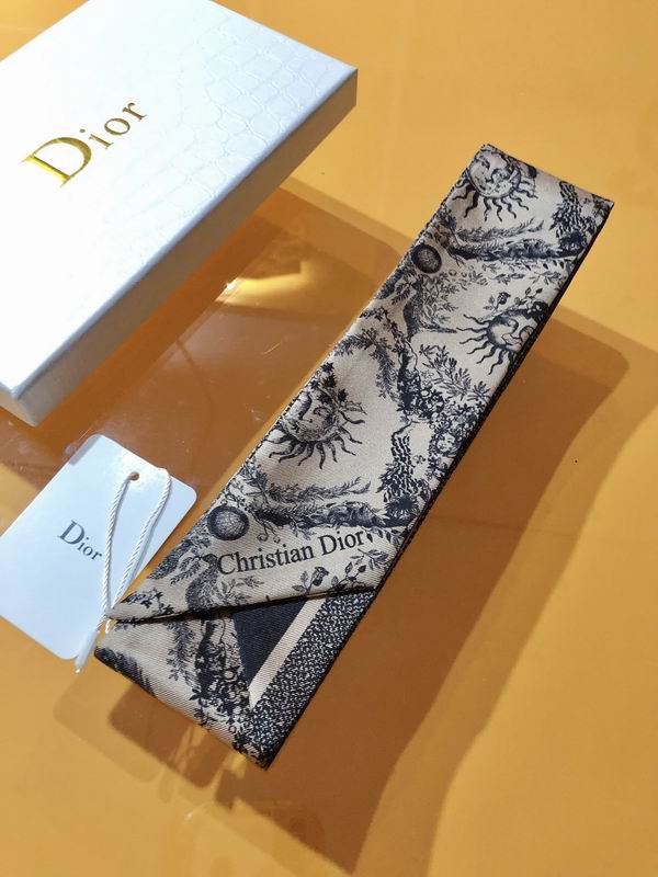 Dior silk ribbon 6X105cm E172 (15)