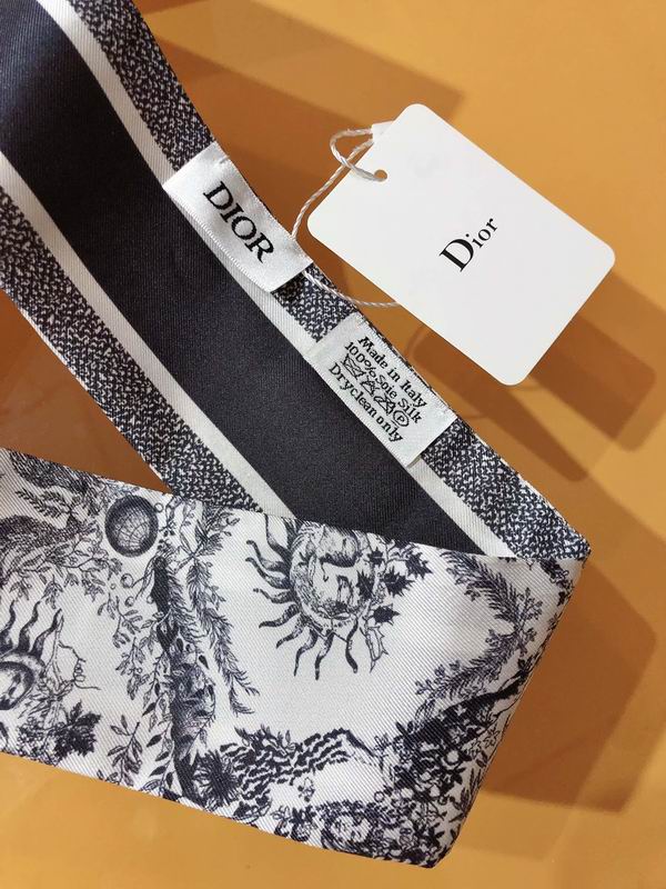 Dior silk ribbon 6X105cm E172 (21)