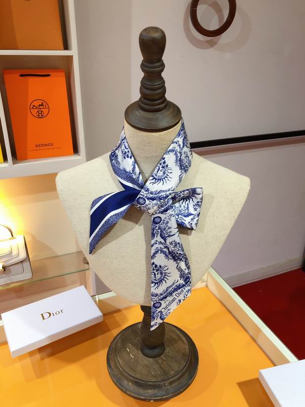 Dior silk ribbon 6X105cm E172 (28)