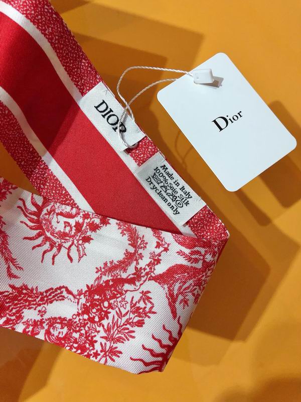 Dior silk ribbon 6X105cm E172 (3)