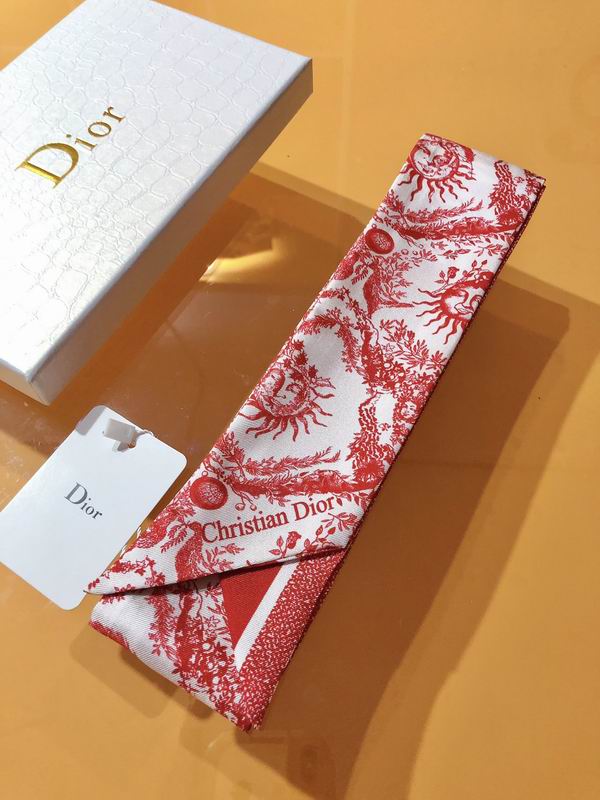Dior silk ribbon 6X105cm E172 (6)