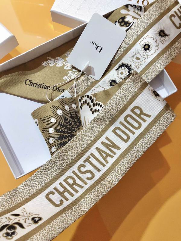 Dior silk ribbon 6X105cm E173 (12)