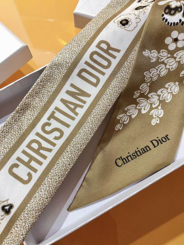 Dior silk ribbon 6X105cm E173 (13)