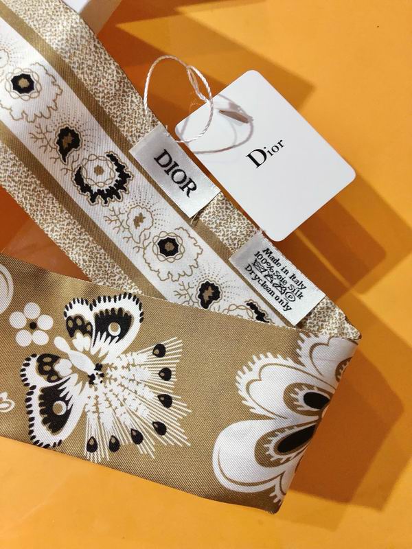 Dior silk ribbon 6X105cm E173 (14)