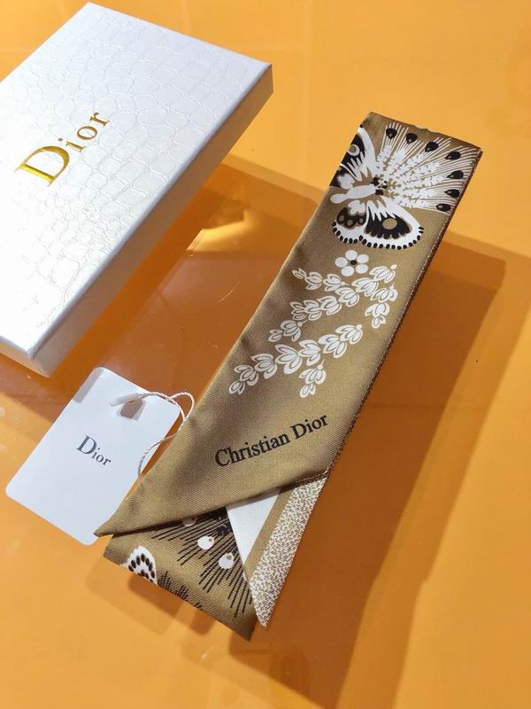 Dior silk ribbon 6X105cm E173 (17)