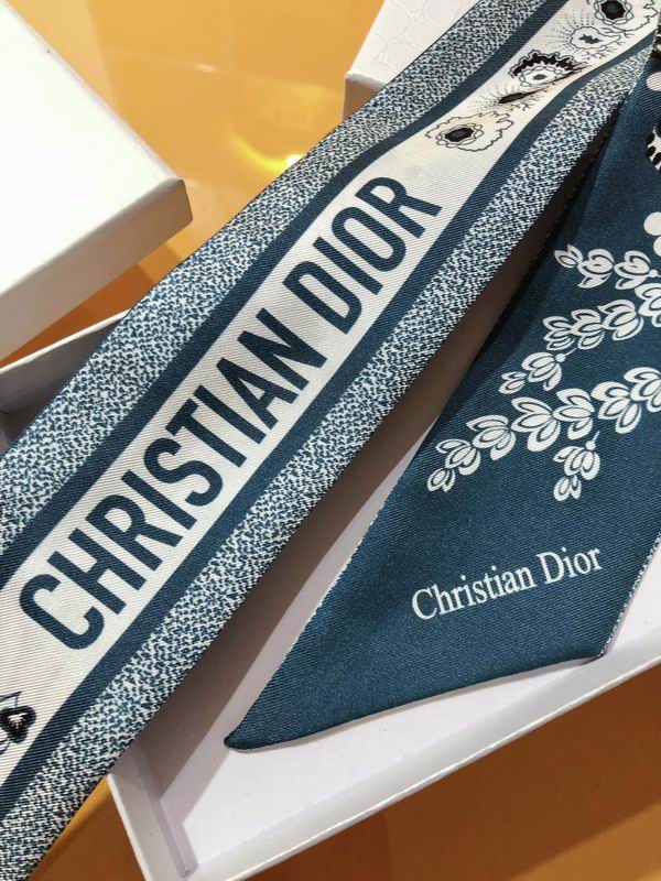 Dior silk ribbon 6X105cm E173 (4)