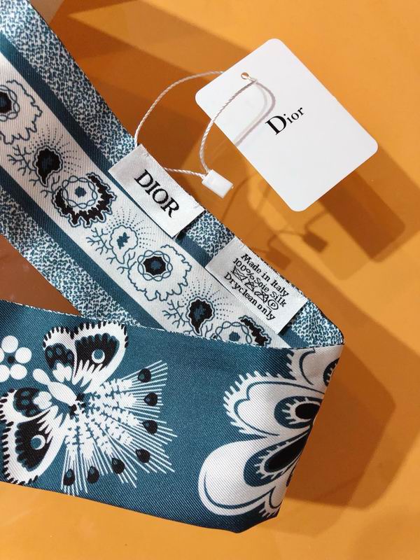 Dior silk ribbon 6X105cm E173 (5)