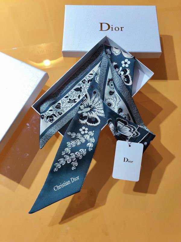 Dior silk ribbon 6X105cm E173 (6)