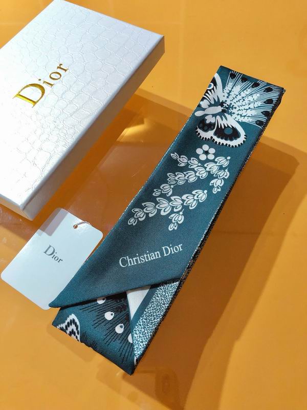 Dior silk ribbon 6X105cm E173 (8)