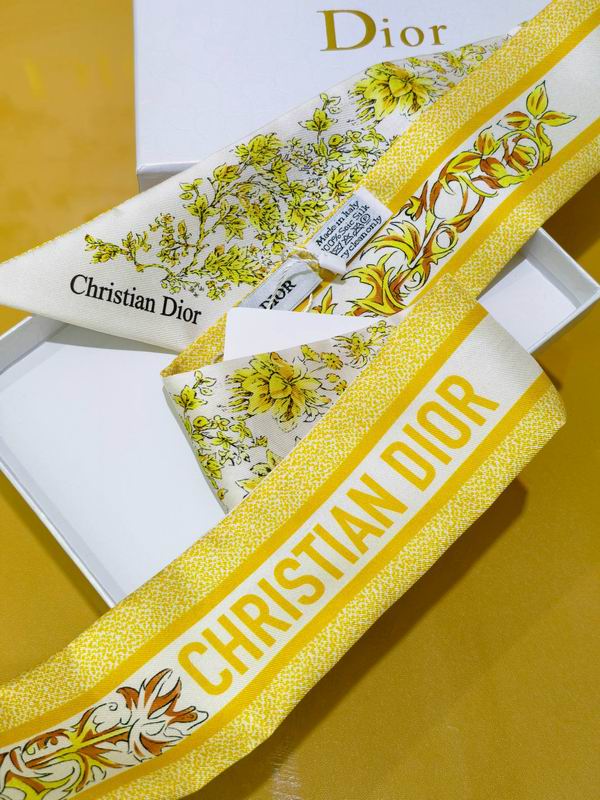 Dior silk ribbon 6X105cm E20 (6)