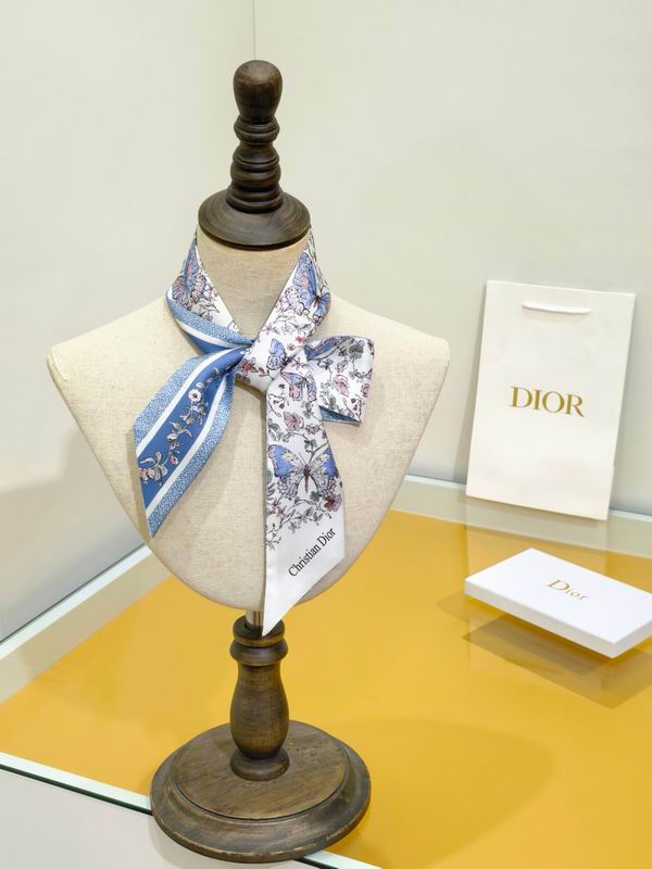 Dior silk ribbon 6X105cm E53 (2)