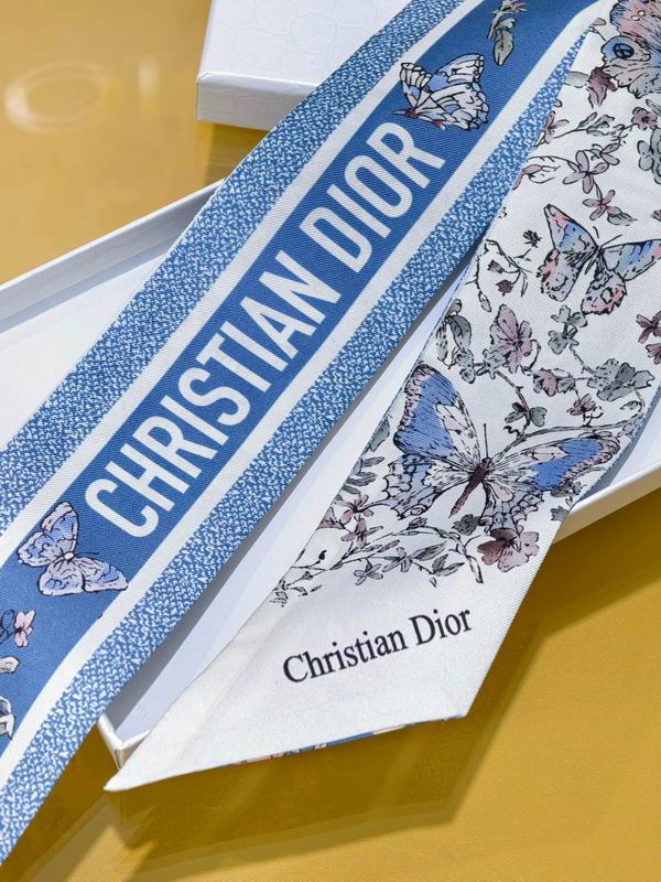 Dior silk ribbon 6X105cm E53 (4)