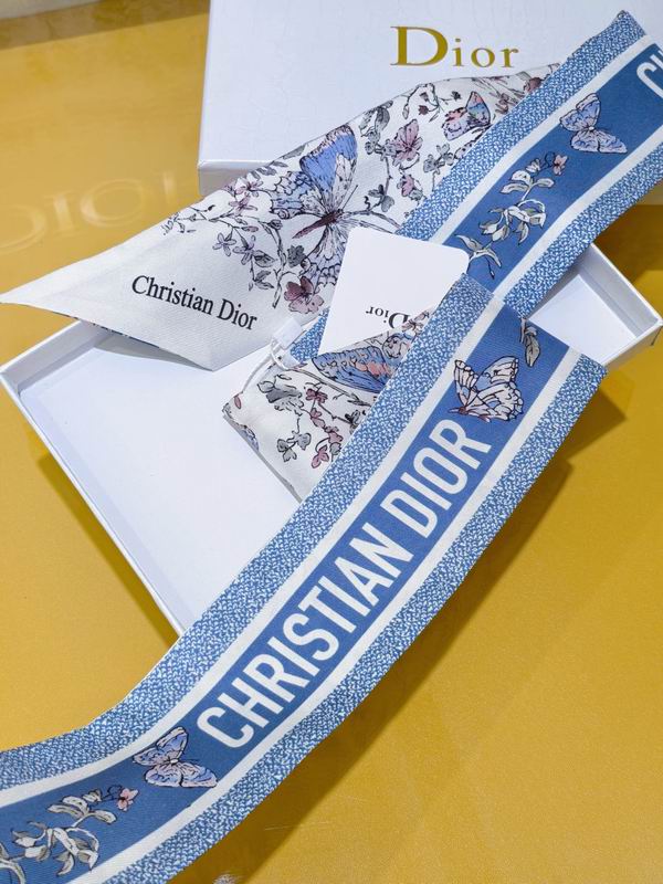 Dior silk ribbon 6X105cm E53 (5)