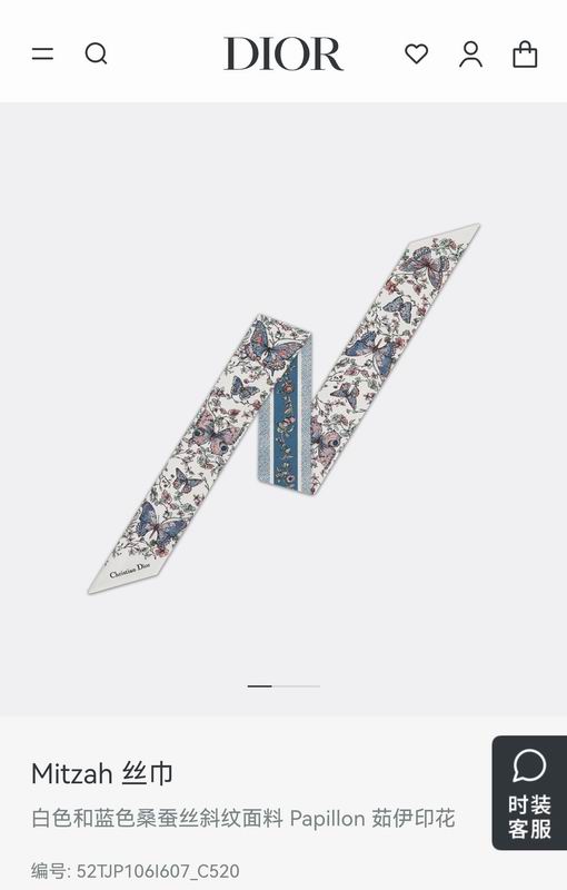 Dior silk ribbon 6X105cm E53 (9)