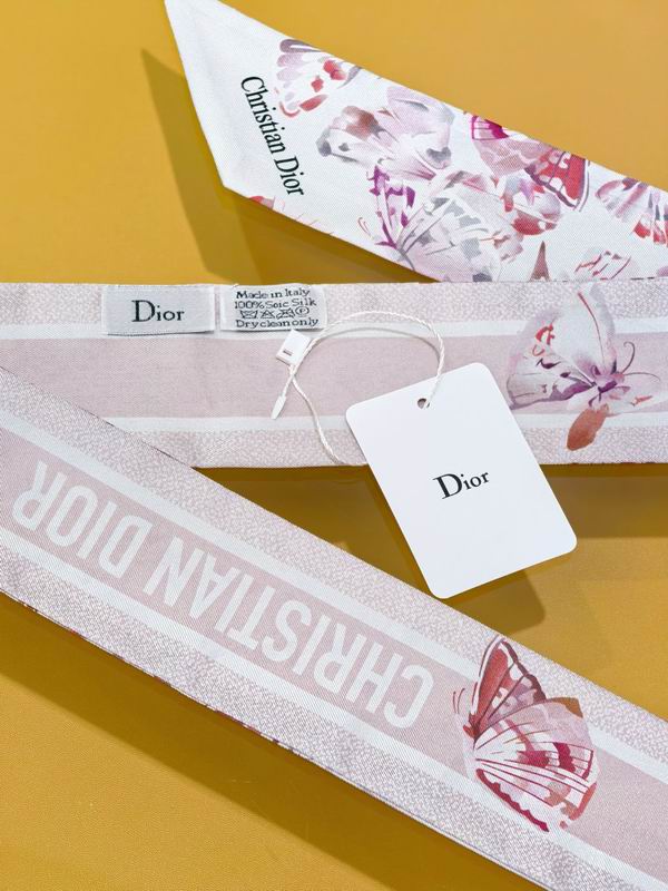 Dior silk ribbon 6X105cm E73 (3)