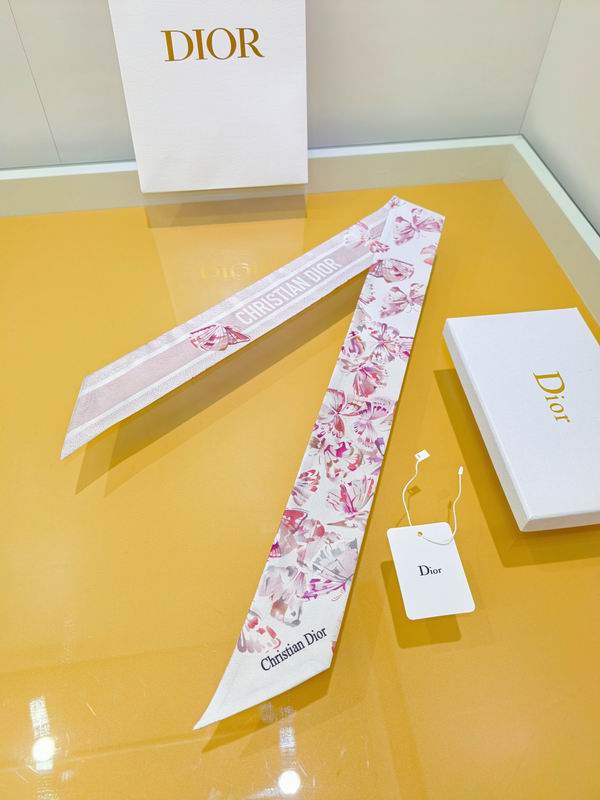 Dior silk ribbon 6X105cm E73 (4)