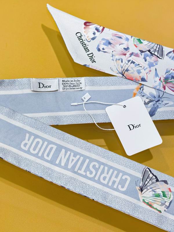 Dior silk ribbon 6X105cm E73 (9)