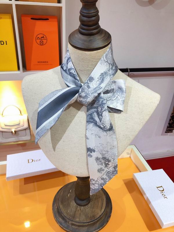 Dior silk ribbon 6X105cm E78 (11)
