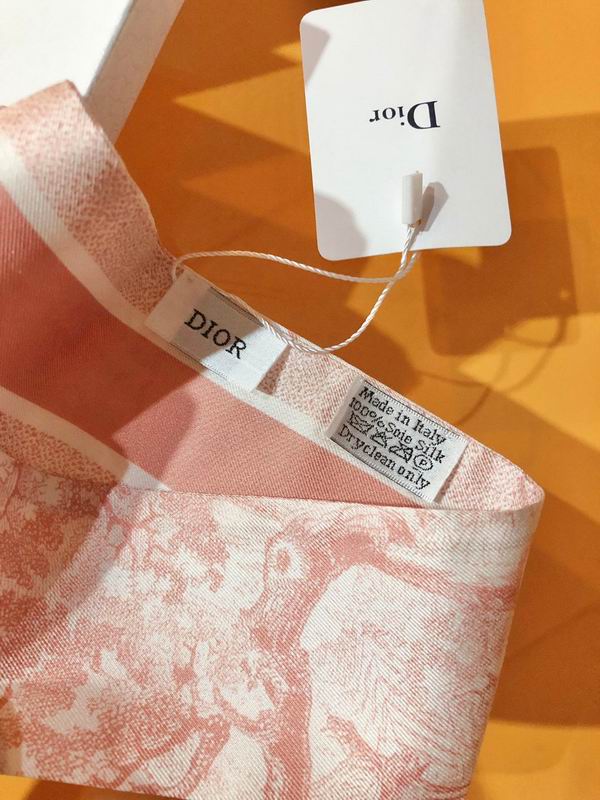 Dior silk ribbon 6X105cm E78 (22)
