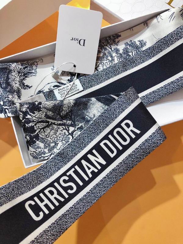 Dior silk ribbon 6X105cm E78 (3)