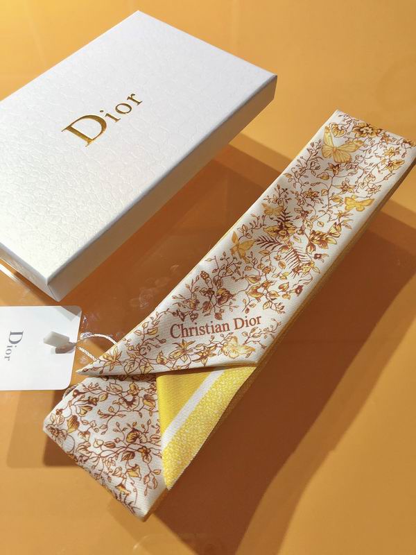 Dior silk ribbon 6X105cm E81 (17)