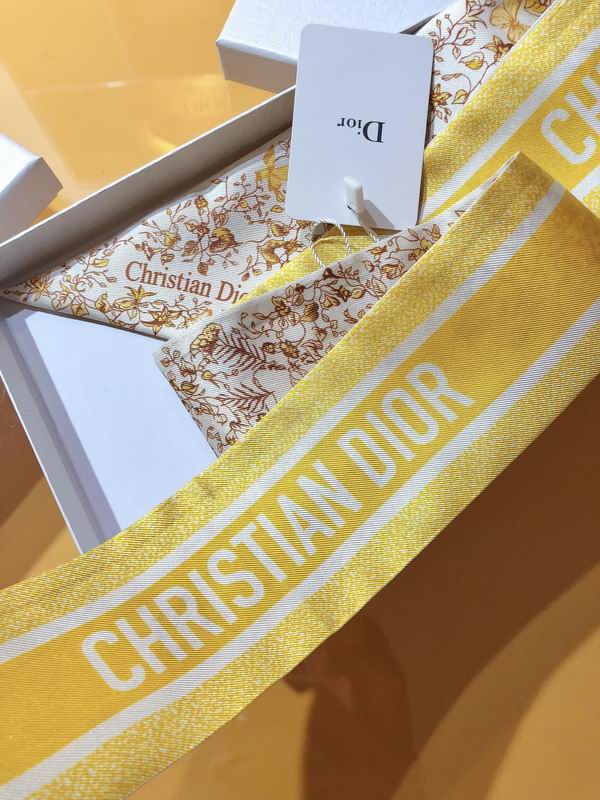 Dior silk ribbon 6X105cm E81 (18)
