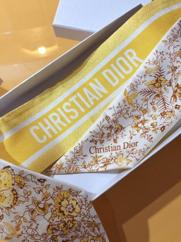 Dior silk ribbon 6X105cm E81 (19)