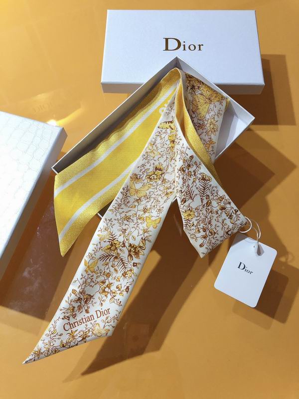 Dior silk ribbon 6X105cm E81 (21)