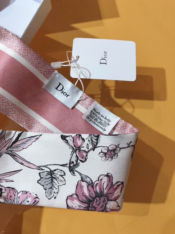 Dior silk ribbon 6X105cm E83 (13)