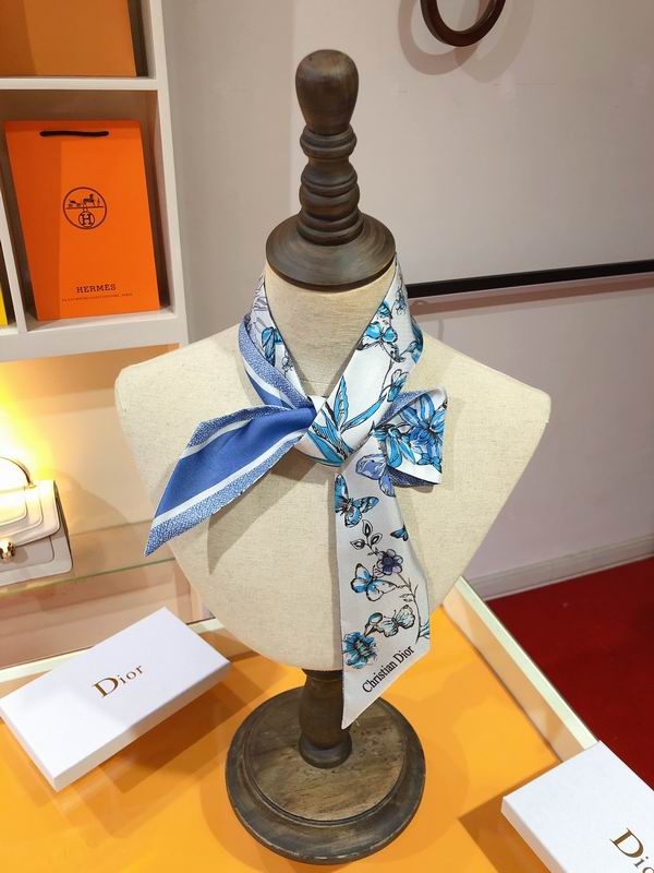 Dior silk ribbon 6X105cm E83 (17)