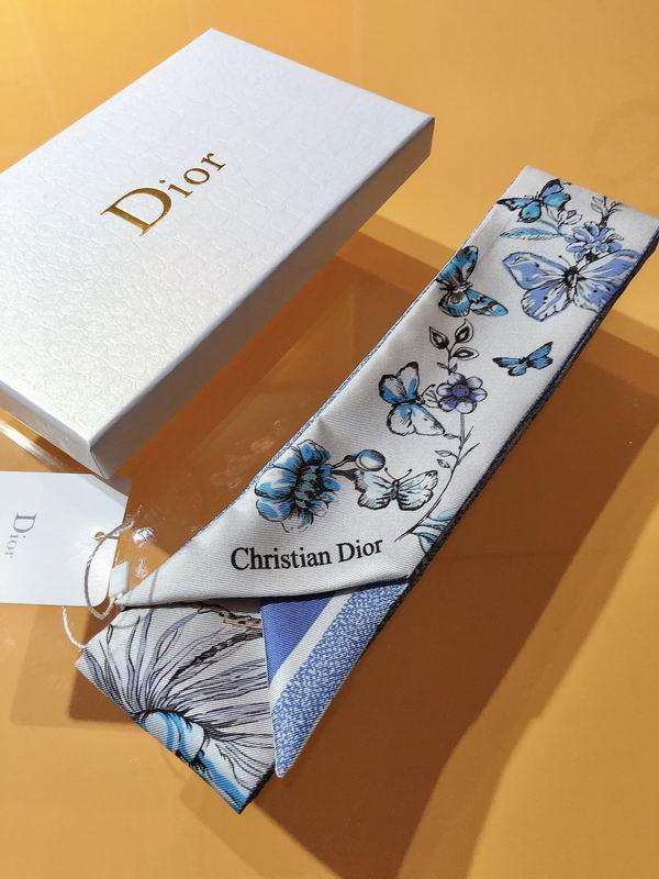 Dior silk ribbon 6X105cm E83 (18)