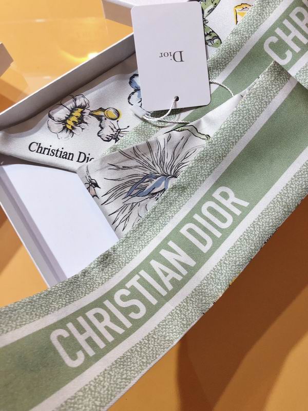 Dior silk ribbon 6X105cm E83 (3)