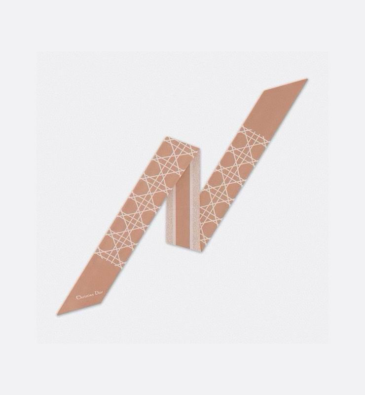 Dior silk ribbon hm (91)