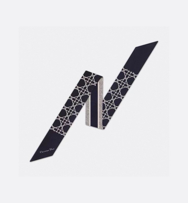 Dior silk ribbon hm (94)