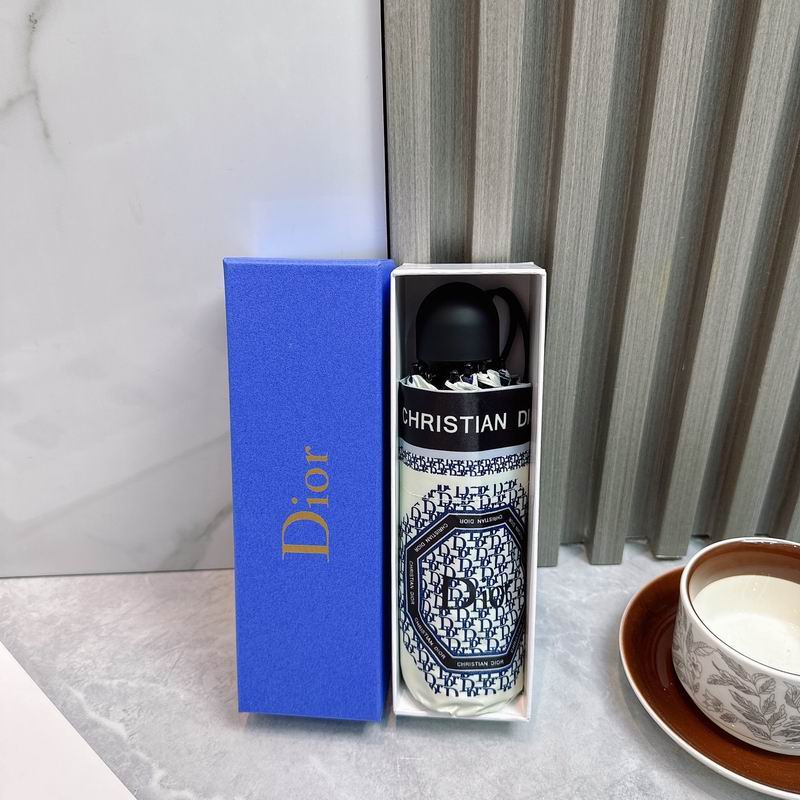 Dior umbrella (117)