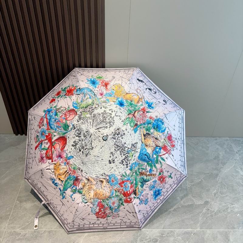 Dior umbrella (159)