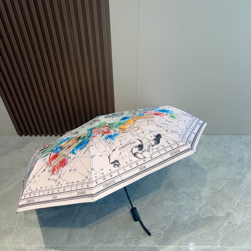 Dior umbrella (161)
