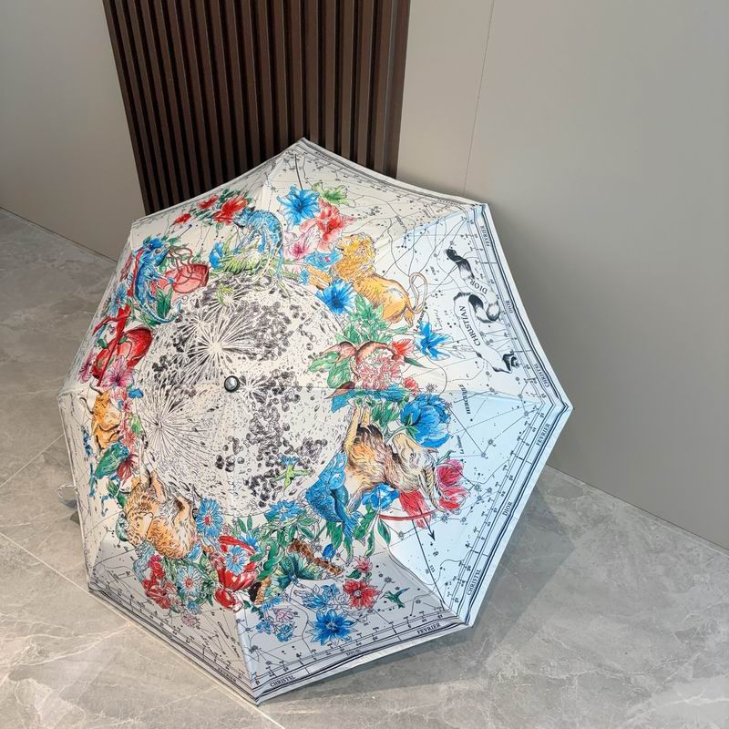 Dior umbrella (169)